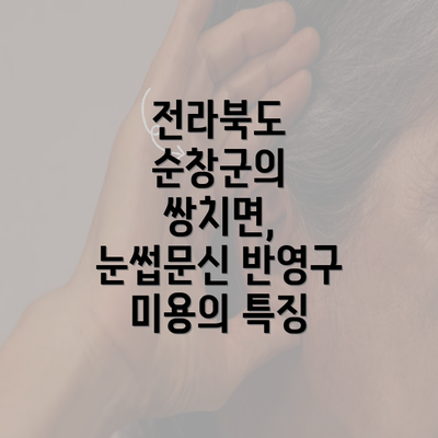 전라북도 순창군의 쌍치면, 눈썹문신 반영구 미용의 특징