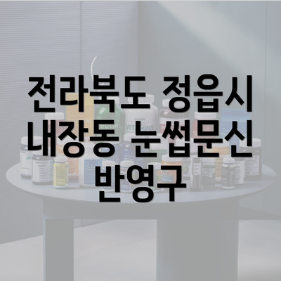 전라북도 정읍시 내장동 눈썹문신 반영구