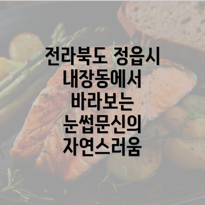 전라북도 정읍시 내장동에서 바라보는 눈썹문신의 자연스러움