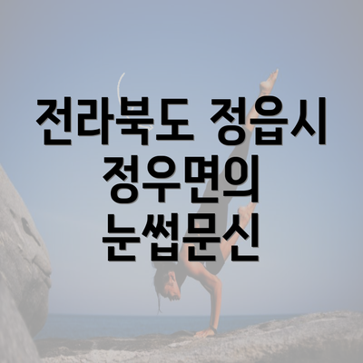 전라북도 정읍시 정우면의 눈썹문신