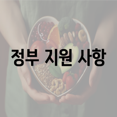정부 지원 사항