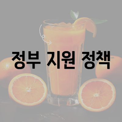 정부 지원 정책