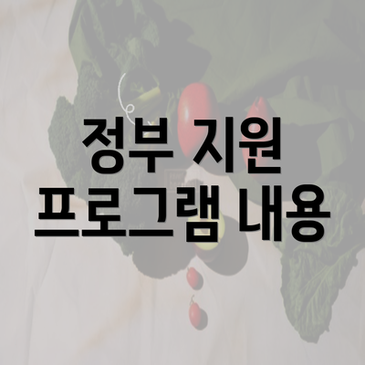 정부 지원 프로그램 내용
