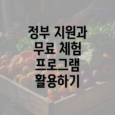 정부 지원과 무료 체험 프로그램 활용하기