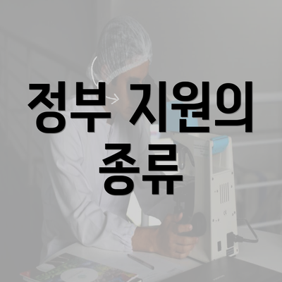 정부 지원의 종류