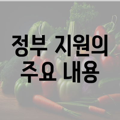 정부 지원의 주요 내용