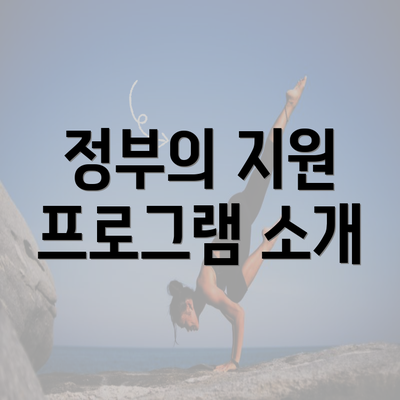 정부의 지원 프로그램 소개
