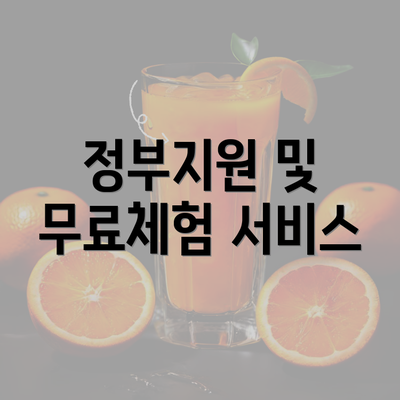 정부지원 및 무료체험 서비스