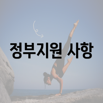 정부지원 사항