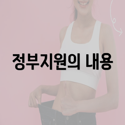 정부지원의 내용