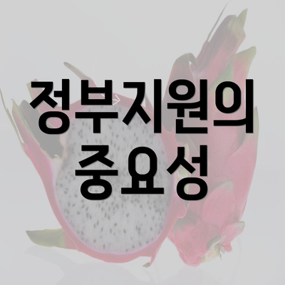 정부지원의 중요성