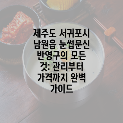 제주도 서귀포시 남원읍 눈썹문신 반영구의 모든 것: 관리부터 가격까지 완벽 가이드