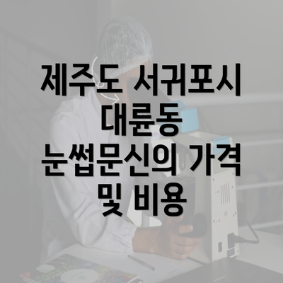 제주도 서귀포시 대륜동 눈썹문신의 가격 및 비용
