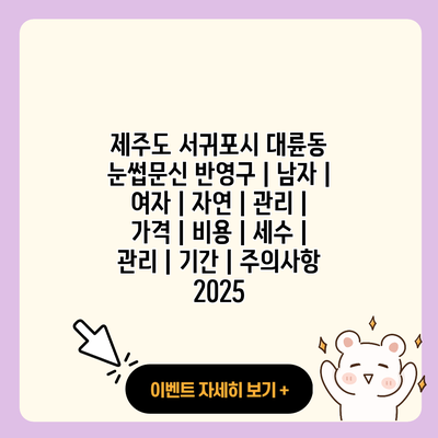 제주도 서귀포시 대륜동 눈썹문신 반영구 남자 여자 자연 관리 가격 비용 세수 관리 기간 주의사항 2025 resized 1