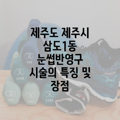 제주도 제주시 삼도1동 눈썹반영구 시술의 특징 및 장점