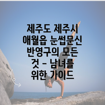제주도 제주시 애월읍 눈썹문신 반영구의 모든 것 - 남녀를 위한 가이드