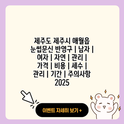 제주도 제주시 애월읍 눈썹문신 반영구 남자 여자 자연 관리 가격 비용 세수 관리 기간 주의사항 2025 resized