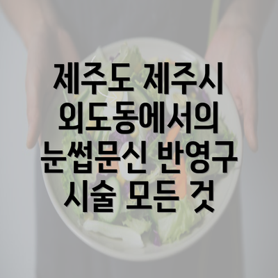 제주도 제주시 외도동에서의 눈썹문신 반영구 시술 모든 것