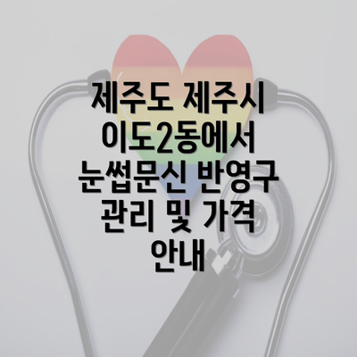 제주도 제주시 이도2동에서 눈썹문신 반영구 관리 및 가격 안내