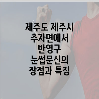 제주도 제주시 추자면에서 반영구 눈썹문신의 장점과 특징