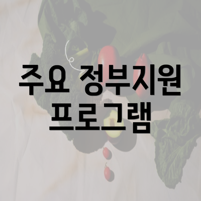 주요 정부지원 프로그램