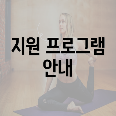 지원 프로그램 안내