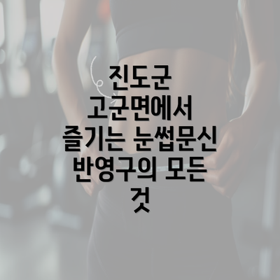 진도군 고군면에서 즐기는 눈썹문신 반영구의 모든 것