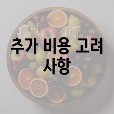 추가 비용 고려 사항