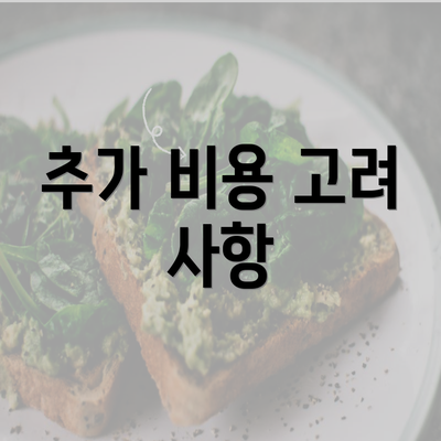 추가 비용 고려 사항