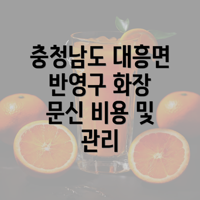 충청남도 대흥면 반영구 화장 문신 비용 및 관리