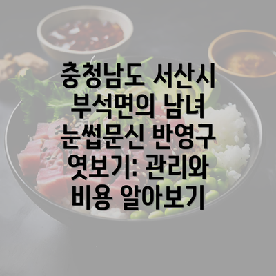 충청남도 서산시 부석면의 남녀 눈썹문신 반영구 엿보기: 관리와 비용 알아보기
