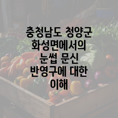 충청남도 청양군 화성면에서의 눈썹 문신 반영구에 대한 이해