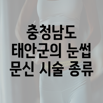 충청남도 태안군의 눈썹 문신 시술 종류