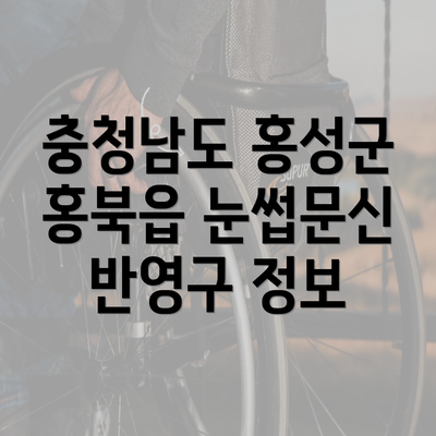 충청남도 홍성군 홍북읍 눈썹문신 반영구 정보