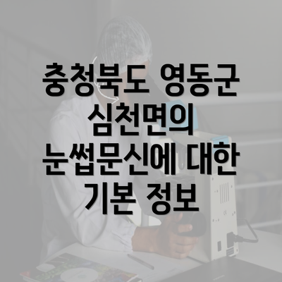 충청북도 영동군 심천면의 눈썹문신에 대한 기본 정보