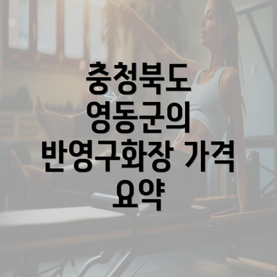 충청북도 영동군의 반영구화장 가격 요약