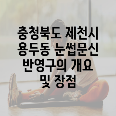 충청북도 제천시 용두동 눈썹문신 반영구의 개요 및 장점