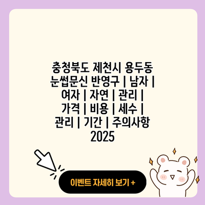 충청북도 제천시 용두동 눈썹문신 반영구 남자 여자 자연 관리 가격 비용 세수 관리 기간 주의사항 2025 resized