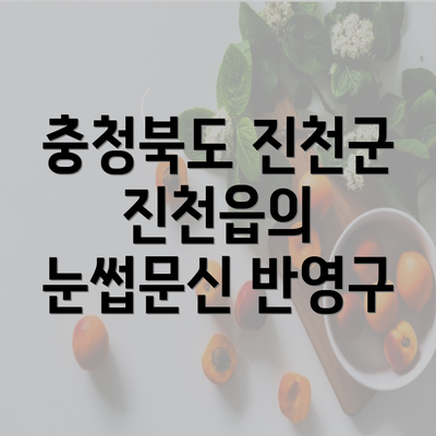 충청북도 진천군 진천읍의 눈썹문신 반영구