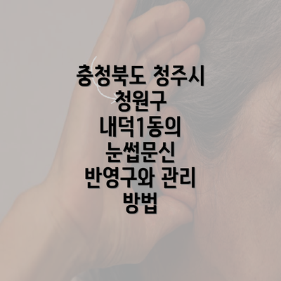 충청북도 청주시 청원구 내덕1동의 눈썹문신 반영구와 관리 방법