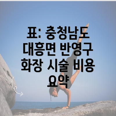 표: 충청남도 대흥면 반영구 화장 시술 비용 요약