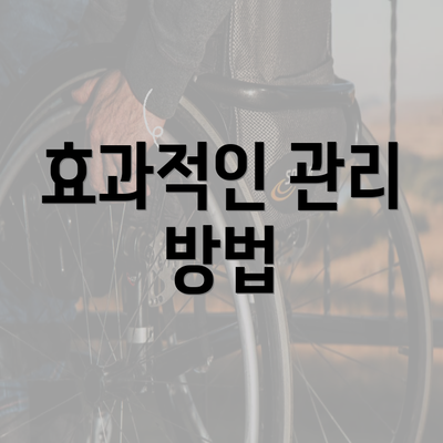 효과적인 관리 방법