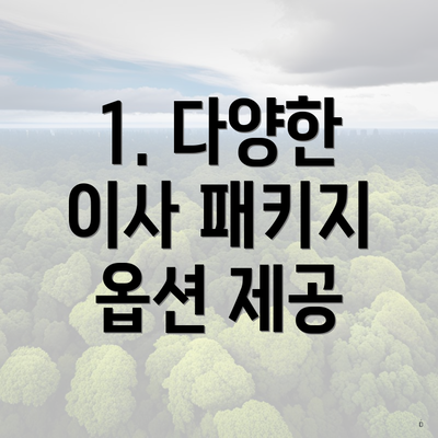 1. 다양한 이사 패키지 옵션 제공