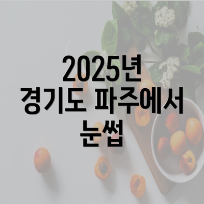 2025년 경기도 파주에서 눈썹