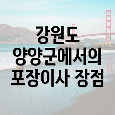 강원도 양양군에서의 포장이사 장점