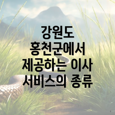 강원도 홍천군에서 제공하는 이사 서비스의 종류