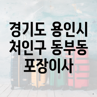 경기도 용인시 처인구 동부동 포장이사