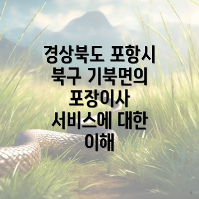 경상북도 포항시 북구 기북면의 포장이사 서비스에 대한 이해