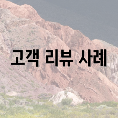 고객 리뷰 사례