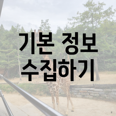 기본 정보 수집하기